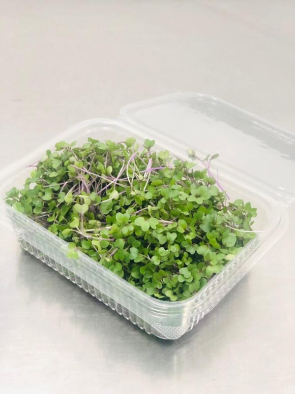 Brócoli-Envase compostable de 50 Gr