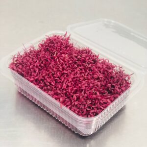 Amaranth