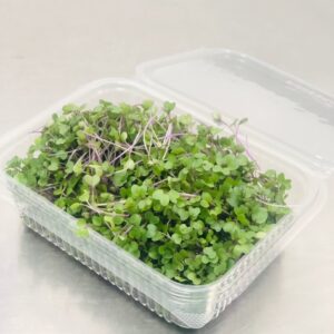 Colrabi-Envase compostable de 50 Gr.