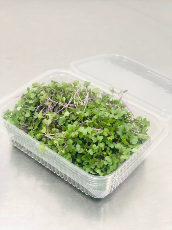 Colrabi-Envase compostable de 50 Gr.