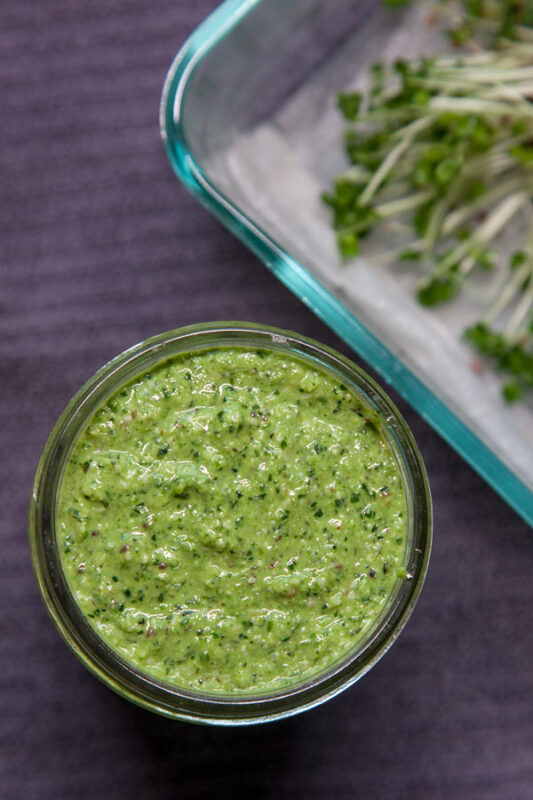 Pesto de Micro Brocoli y Girasol