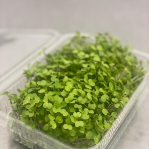 Brócoli-Envase compostable de 30 Gr.